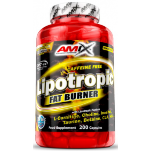 Lipotropic Fat Burner - 100 капс Фото №1